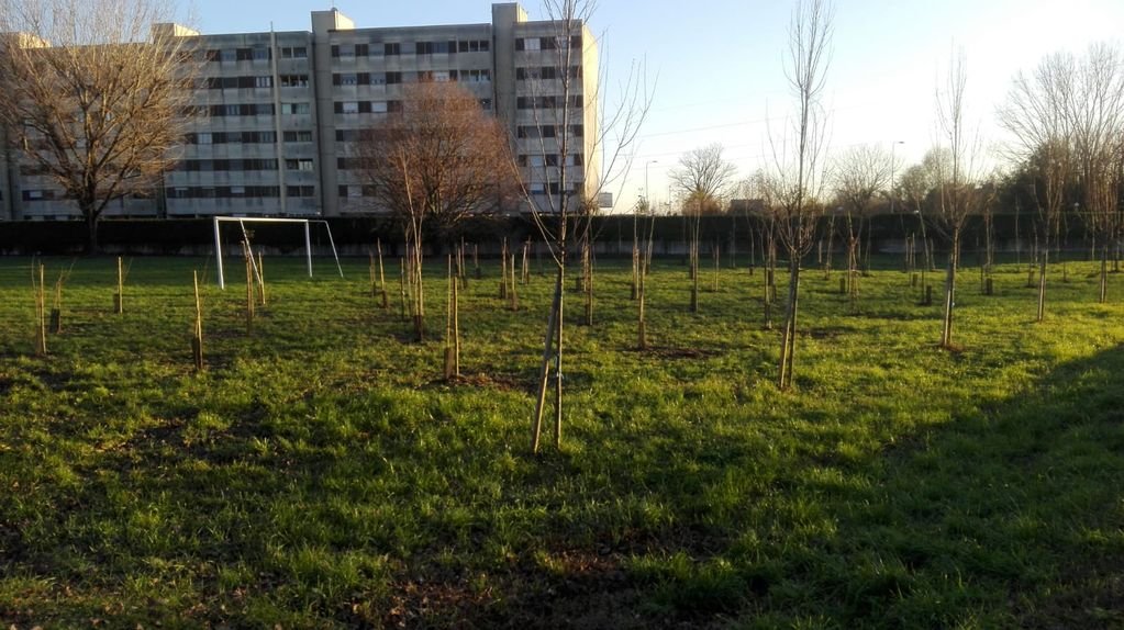 Campetto · Parco Baden Powell, Lodi